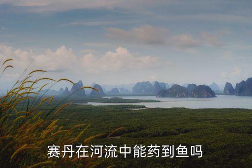 硫丹的農藥是什么,化硫丹是什么