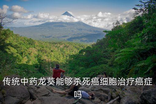 傳統(tǒng)中藥龍葵能夠殺死癌細(xì)胞治療癌癥嗎