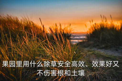 種花封土地用什么農藥,種花的土地叫什么