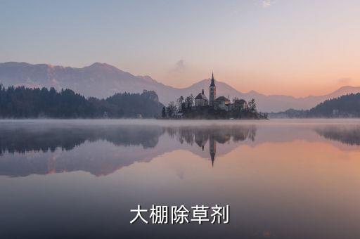 大蒜出苗后使用什么農(nóng)藥,大蒜不出苗什么原因