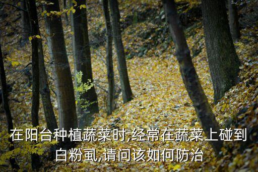 在陽臺種植蔬菜時,經(jīng)常在蔬菜上碰到白粉虱,請問該如何防治