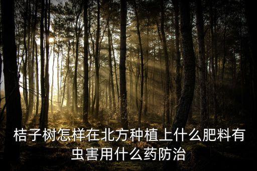 桔子樹(shù)要噴什么農(nóng)藥,現(xiàn)在桔子樹(shù)打什么農(nóng)藥好