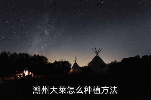 潮州大萊怎么種植方法