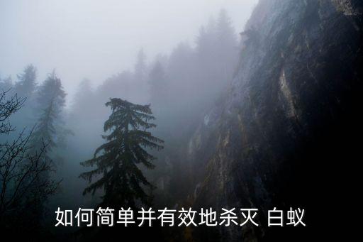 如何簡單并有效地殺滅 白蟻