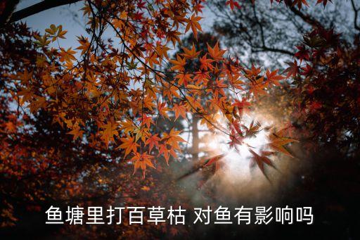 魚塘里打百草枯 對魚有影響嗎