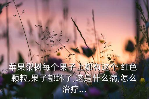 蘋果梨樹每個果子上都有這個 紅色 顆粒,果子都壞了,這是什么病,怎么治療...