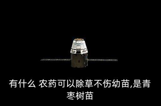 浸泡藥苗什么農藥好,怕菜有農藥用什么浸泡