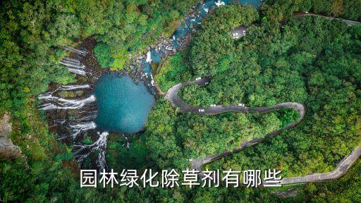 刺蓋草用什么農藥殺死最好