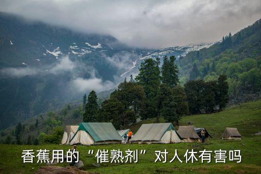 香蕉用什么農(nóng)藥有危害,種植香蕉需要什么農(nóng)藥