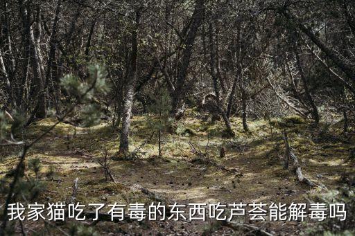我家貓吃了有毒的東西吃蘆薈能解毒嗎
