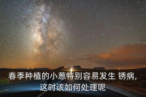 春季種植的小蔥特別容易發(fā)生 銹病,這時該如何處理呢