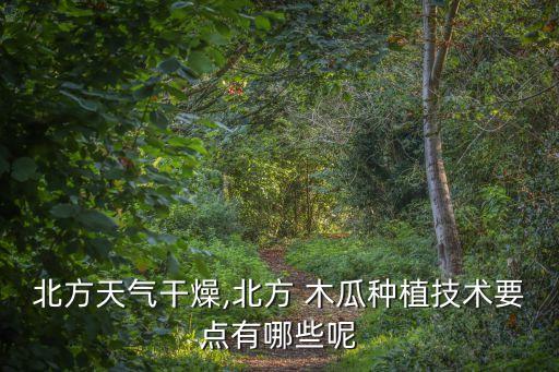 北方天氣干燥,北方 木瓜種植技術(shù)要點有哪些呢