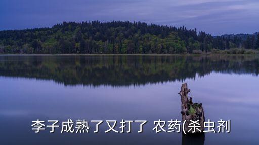 李子煤煙病打什么農(nóng)藥