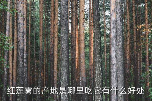 紅蓮霧的產(chǎn)地是哪里吃它有什么好處