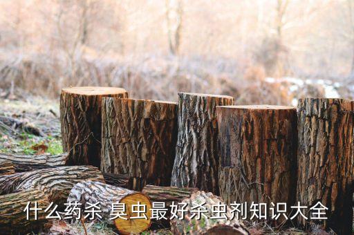 水稻上臭蟲用什么農(nóng)藥,什么農(nóng)藥能殺死臭蟲