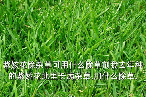 紫姣花除雜草可用什么除草劑我去年種的紫嬌花地里長滿雜草,用什么除草...