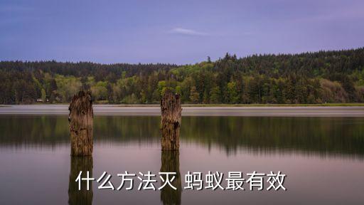 什么方法滅 螞蟻最有效