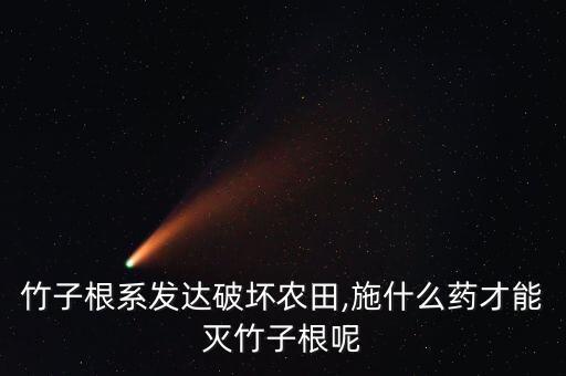 竹子根系發達破壞農田,施什么藥才能滅竹子根呢