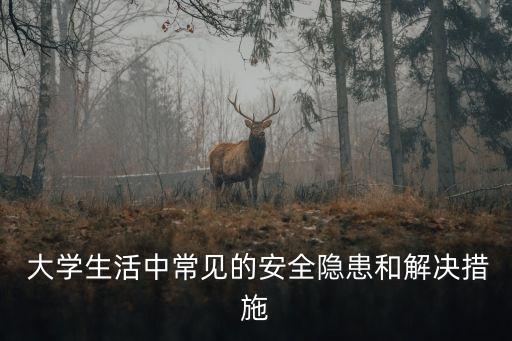 大學(xué)生活中常見的安全隱患和解決措施
