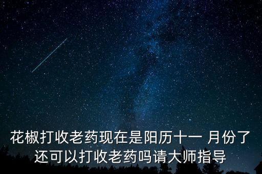 11月份打什么農藥,西瓜一般打什么農藥