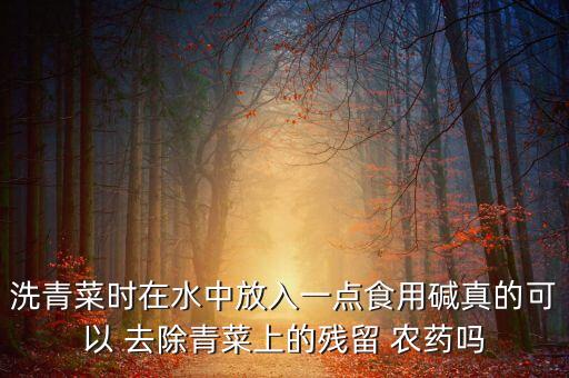 堿類農(nóng)藥用什么去除,堿可以去除蔬菜農(nóng)藥嗎