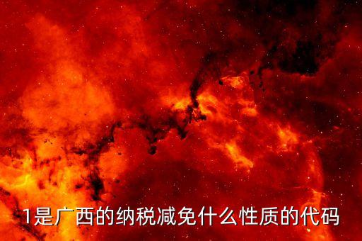 1是廣西的納稅減免什么性質的代碼