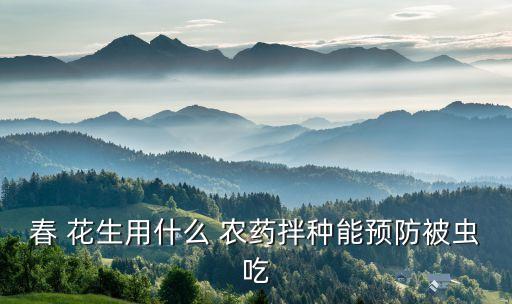 春 花生用什么 農藥拌種能預防被蟲吃