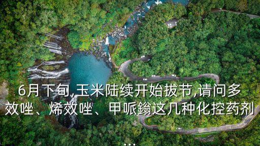 6月份打什么農藥,西瓜一般打什么農藥