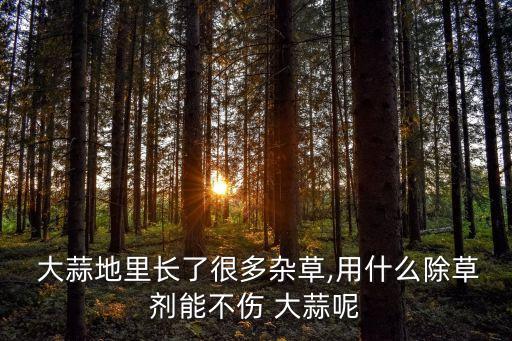 大蒜地里長了很多雜草,用什么除草劑能不傷 大蒜呢