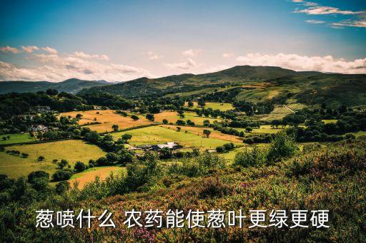 蔥噴什么 農(nóng)藥能使蔥葉更綠更硬