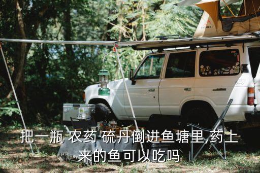 把一瓶 農(nóng)藥 硫丹倒進魚塘里,藥上來的魚可以吃嗎