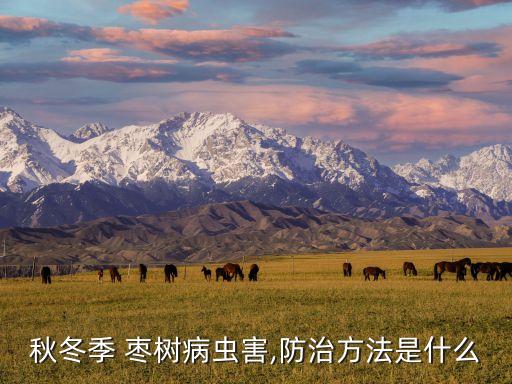 秋冬季 棗樹病蟲害,防治方法是什么