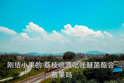 剛結小果的 荔枝噴灑吡唑醚菌酯會 落果嗎