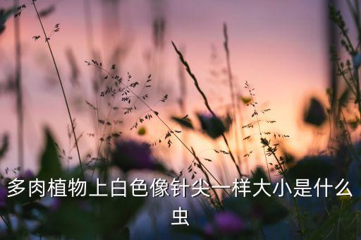 根粉蚧用什么農藥,什么農藥能代替六六粉