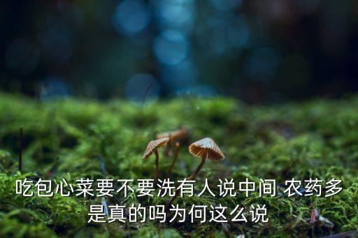 吃包心菜要不要洗有人說(shuō)中間 農(nóng)藥多是真的嗎為何這么說(shuō)