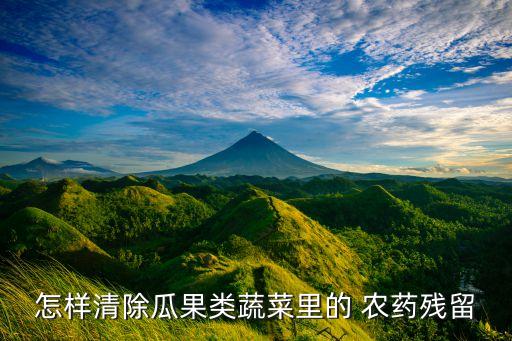 怎樣清除瓜果類蔬菜里的 農(nóng)藥殘留