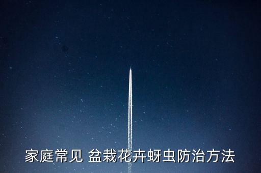 家庭常見 盆栽花卉蚜蟲防治方法