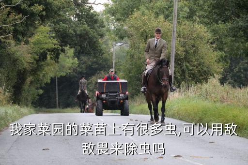 青菜出苗可以打什么農(nóng)藥,什么青菜出苗快