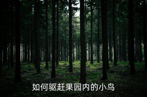 如何驅趕果園內的小鳥