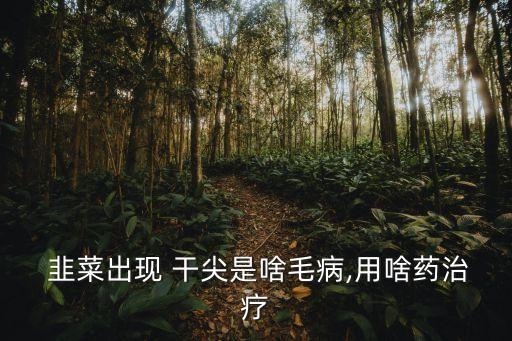 韭菜干尖用什么農藥好,韭菜殘留什么農藥