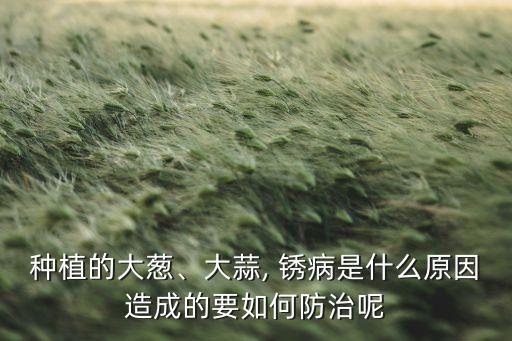 蒜苗銹病打什么農(nóng)藥