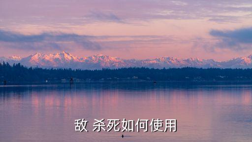敵 殺死如何使用