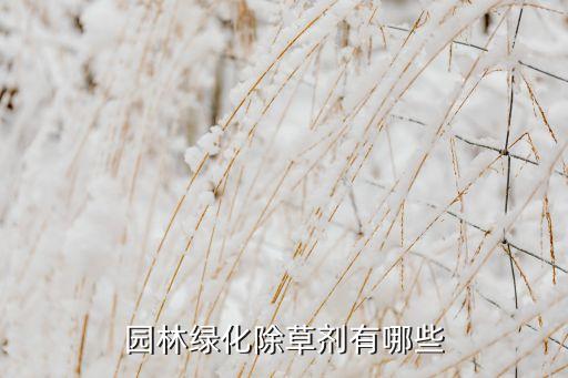 什么農(nóng)藥管馬唐草,馬唐草屬于什么科