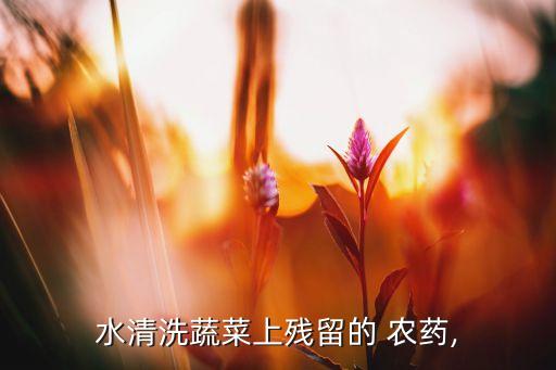 水清洗蔬菜上殘留的 農藥,