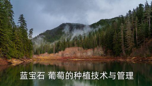 藍寶石葡萄打什么農藥