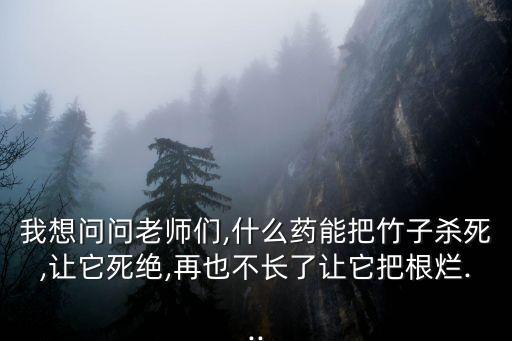 殺竹根草用什么農(nóng)藥,竹根草專治什么功效