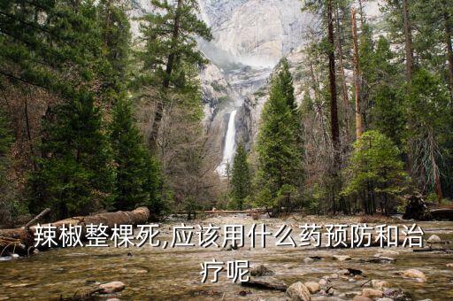  辣椒整棵死,應該用什么藥預防和治療呢