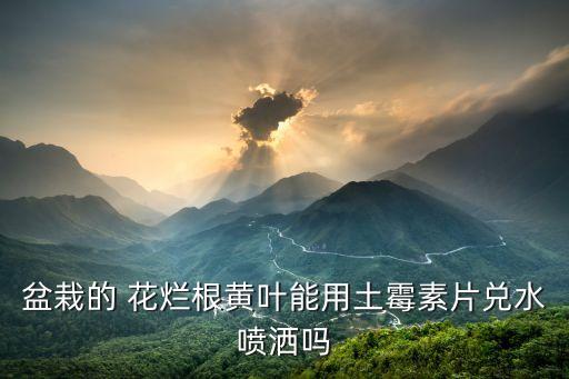 盆栽的 花爛根黃葉能用土霉素片兌水噴灑嗎