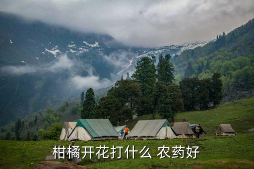 豐園紅杏打什么農藥