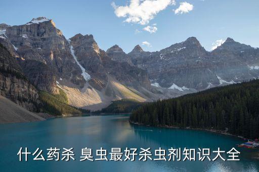 用什么方法可以滅臭蟲,什么農藥能滅臭蟲